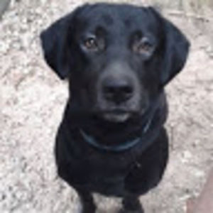 Meet your Posher, Mallory